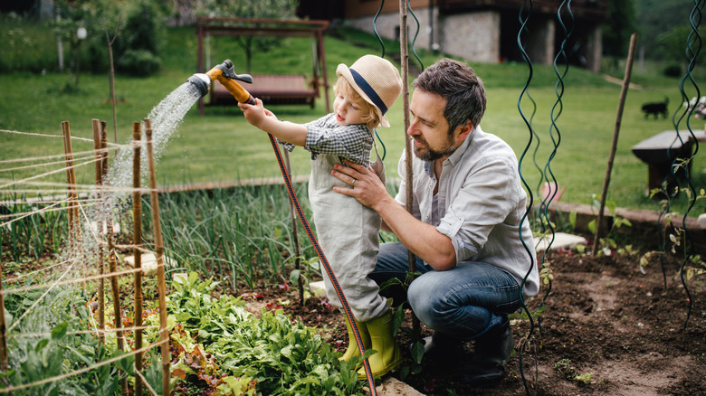 A man and a child water vegetable plants in a garden.