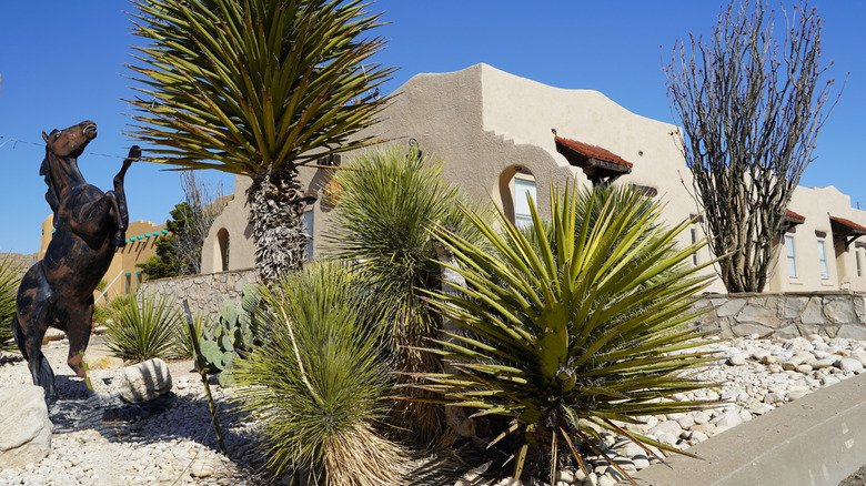 Xeriscape yucca plants in the Chihuahua desert. An adobe building with red tile roof in New Mexico.