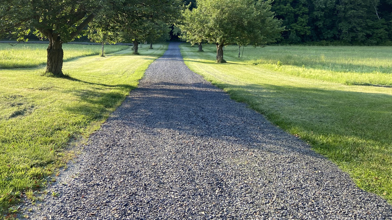 Long gravel driveway between grass and trees.