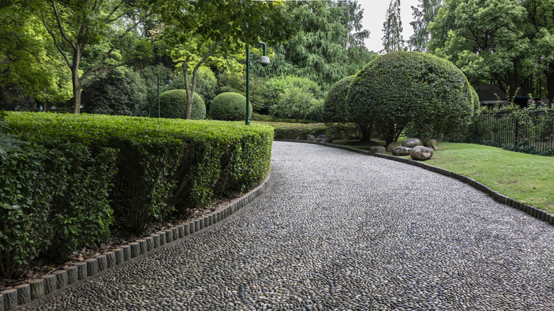 Neatly trimmed evergreen hedges line a tidy pebble walking path