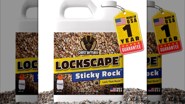 Petra Lockscape Sticky Rock jug