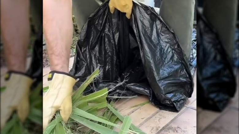 Person holding open plastic bag with feet to shovel in garden scraps