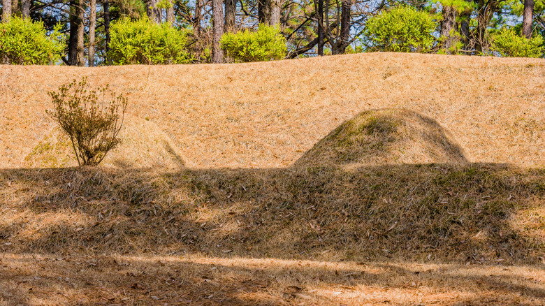 Earthen berm with dry grass growing on it