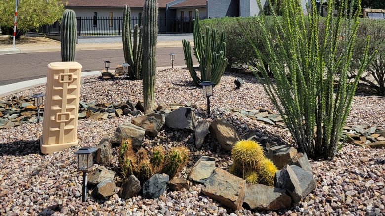 Desert-style xeriscaped street corner