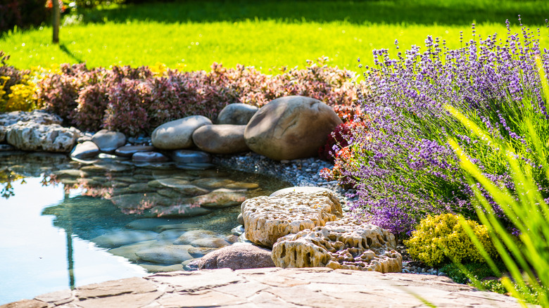 A garden with an in-ground swimming pool