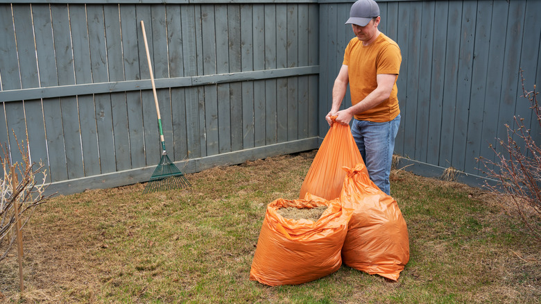 A man cleaning up the yard for spring