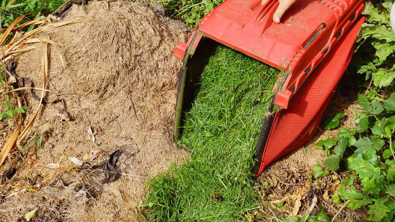 A person adding grass clippings to a compost pile