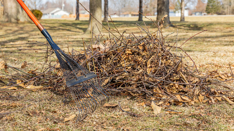 A person raking a brush pile