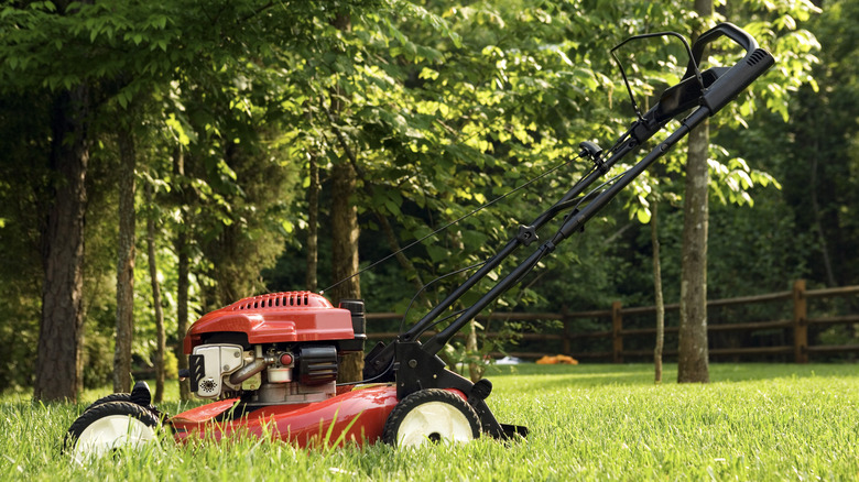 lawn mower in tall grass