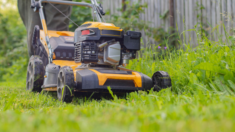 A person mowing a lawn with a yellow lawnmower
