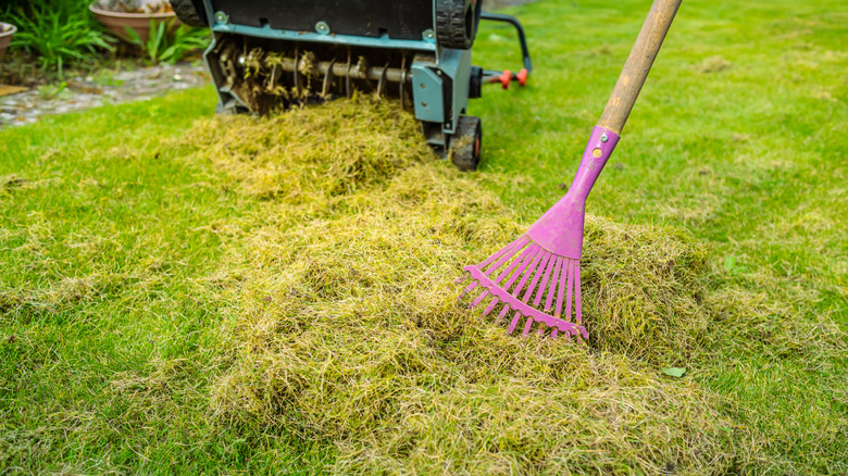 A pile of thatch next to a mechanical scarifier, with a pink rake gathering the thatch