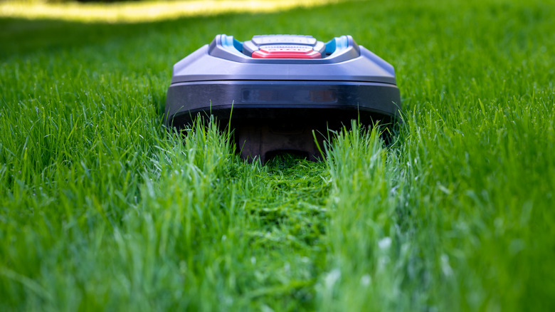 A robotic lawn mower cuts the long, bright green grass of a lawn in a backyard.