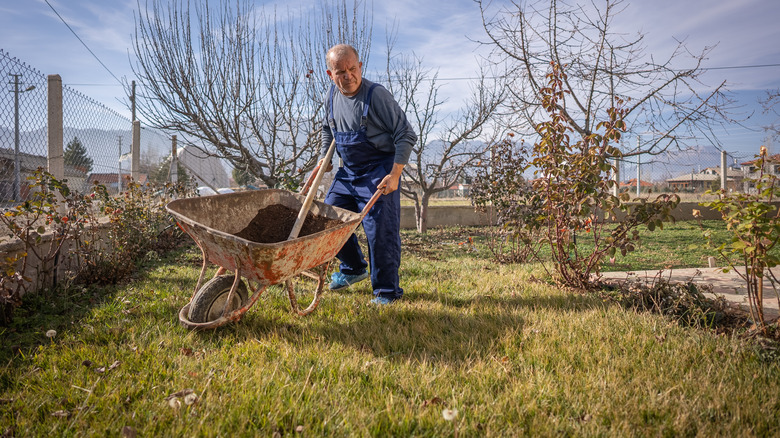 Laying grass seed deals