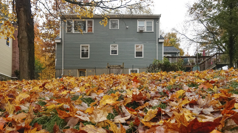 A home with a yard covered in colorful fall leaves
