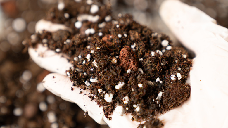 A person with a glove holding a handful of mixed soil
