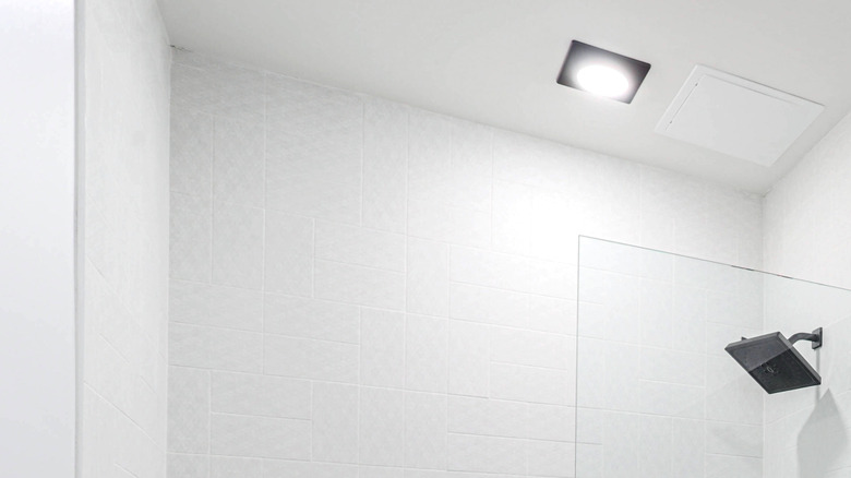 A modern bathroom with a frameless glass screen separating the bath from the rest of the space