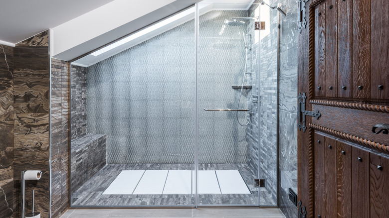 A modern bathroom with a large wet-room shower and a glass partition protecting the rest of the space