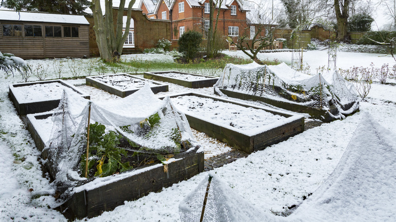 brick house with garden beds after snowfall