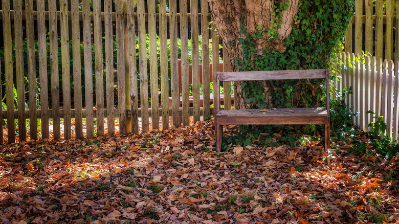 A cozy backyard with a wooden bench, large tree trunk, and autumn leaves covering the ground
