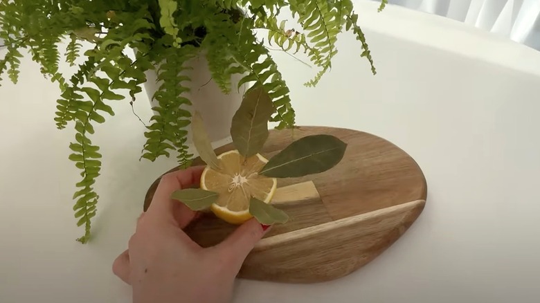 Lemon with bay leaves sticking out of it