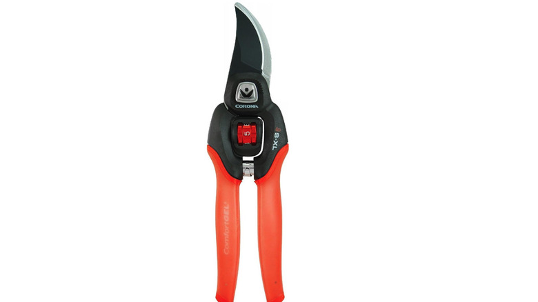 Bypass cutting shears