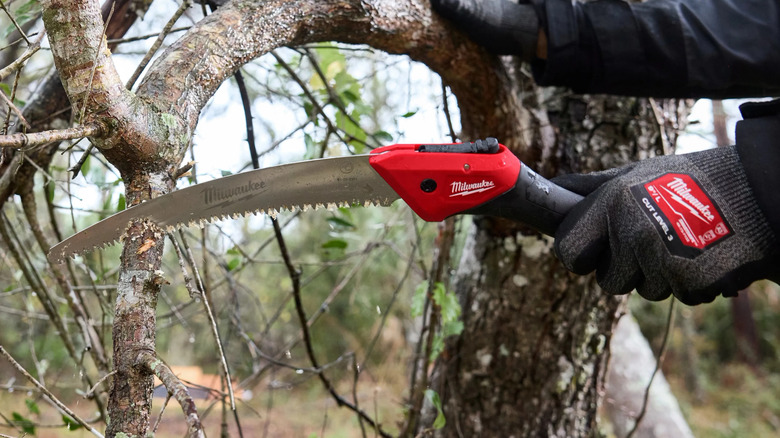 Close-up of somebody using Milwaukee's 10-inch High Carbon Steel Blade Pruning Saw