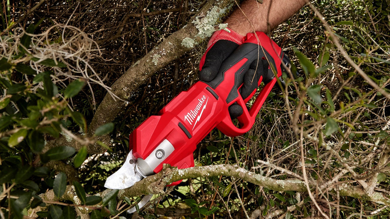 Close-up of a person using Milwaukee battery powered hand pruners