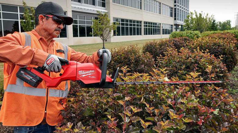 Milwaukee's M18 24-inch Brushless Cordless Battery Powered Hedge Trimmer in use