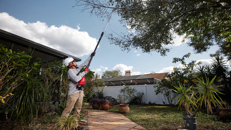 A person using Milwaukee's M18 Lithium-Ion Brushless Cordless Telescoping Pole Pruning Shears to trim a tree