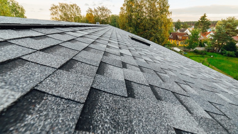 roof with dark shingles