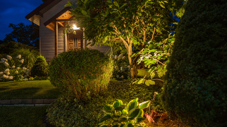 A backyard shed is lit by outdoor lights in a garden of plants at night.