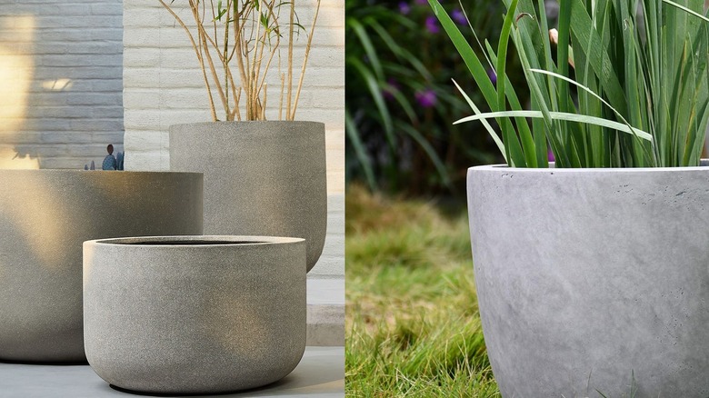 Two concrete planters side-by-side