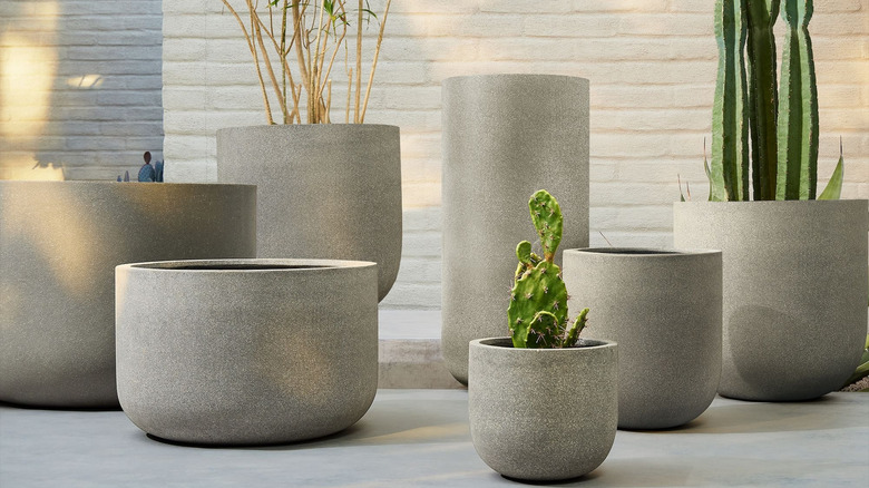 Faux concrete planters from West Elm