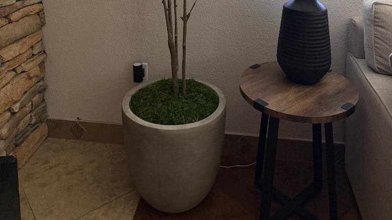 A concrete planter with a snake plant sitting on a patio.