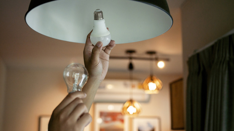 person changing out a light bulb in lamp