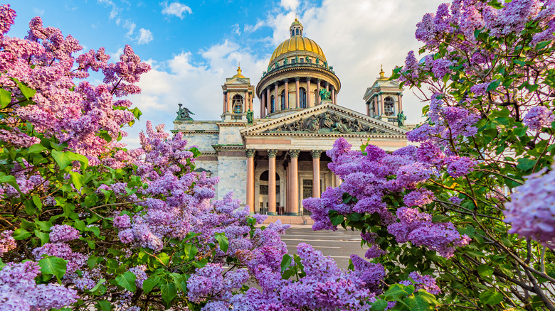 Palace surrounded by lilacs