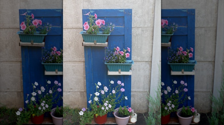 An old blue door with shelves and planters screwed onto it leans against a wall.