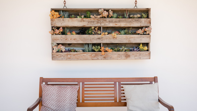 Succulents growing in a three tiered wood pallet planter hanging from chains over a wood bench.