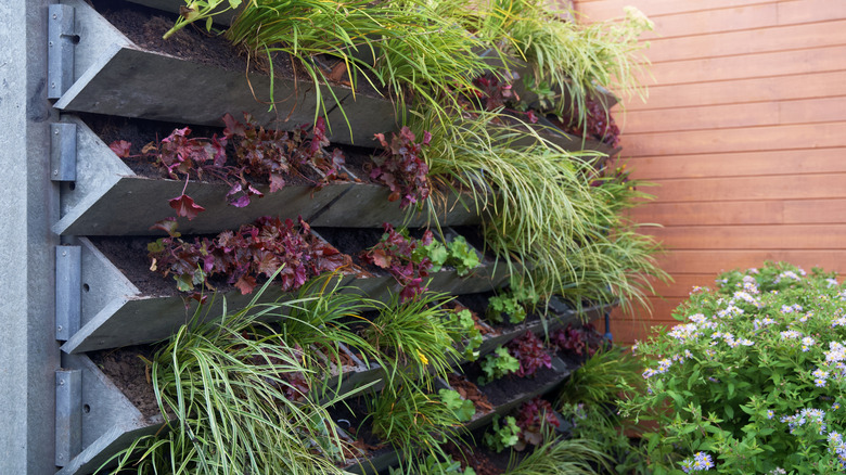Angled trough planters up a wall with ornamental grass and foliage growing in them.
