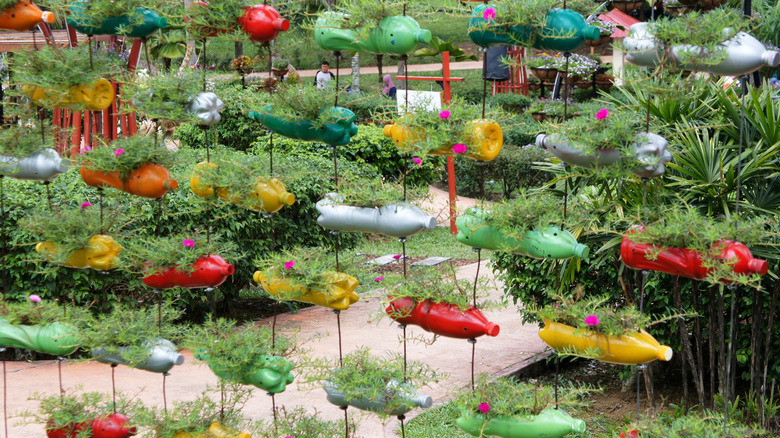 Painted soda bottles with plants growing in them hang on strings.