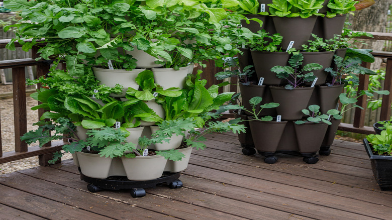 Vertical planter units with vegetables growing in them on a patio.
