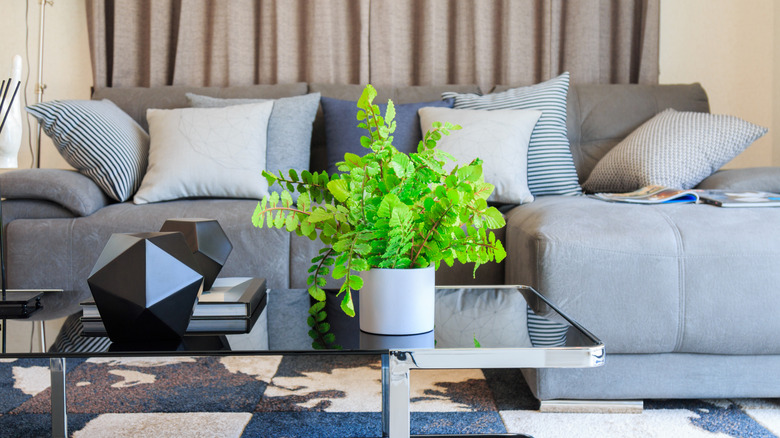 An artificial plant on a living room table