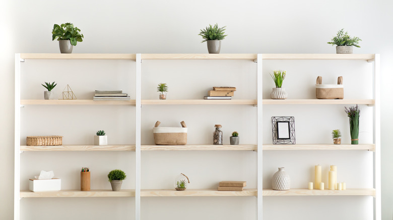 A shelving set with various plants and other items on display