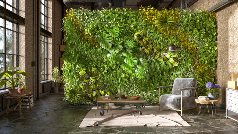 living wall covered in plants