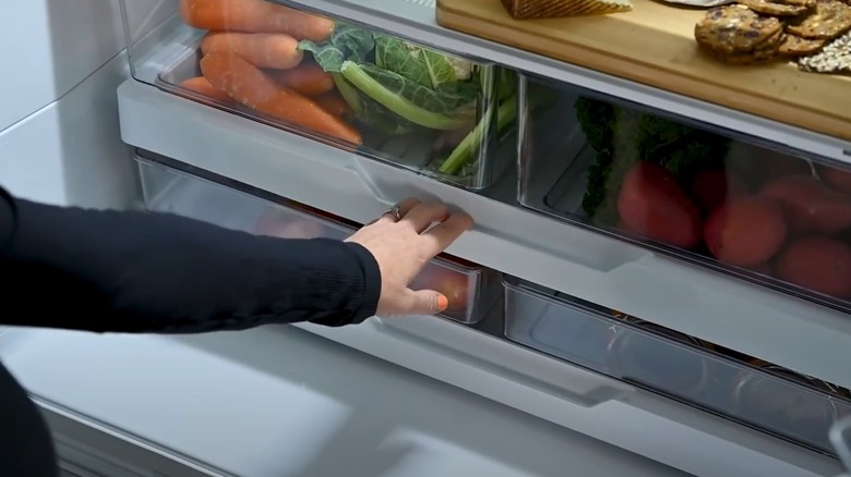 A person opening a drawer inside a Fisher & Paykel refrigerator
