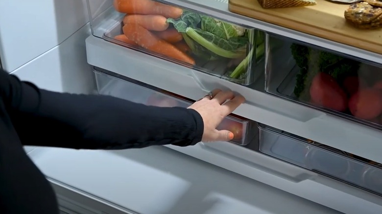A person opening a drawer inside a Fisher & Paykel refrigerator
