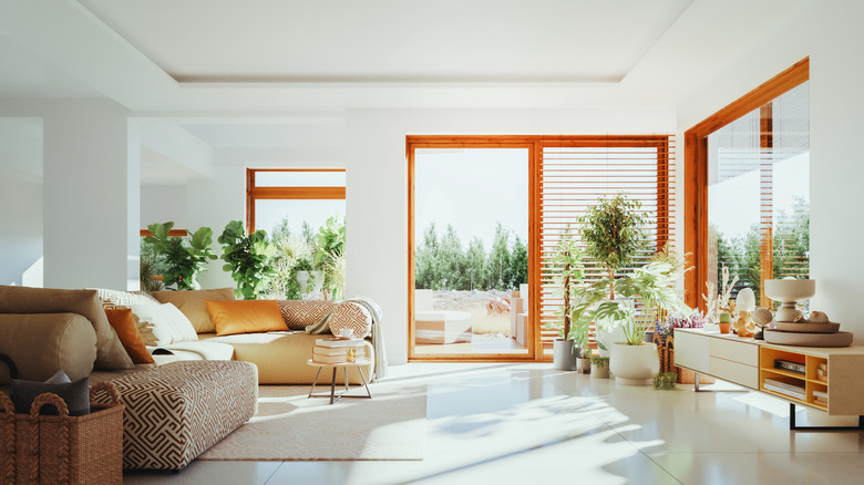 A sunny, modern living room with lots of houseplants.