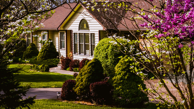 House with trees and shrubs 