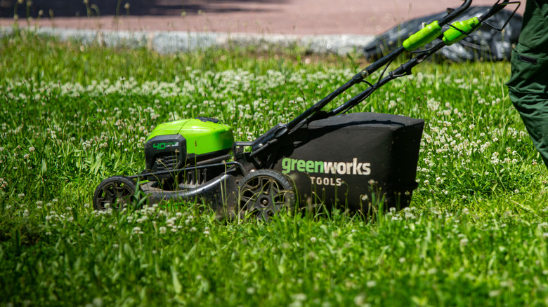 One of the Greenworks range of lawn mowers