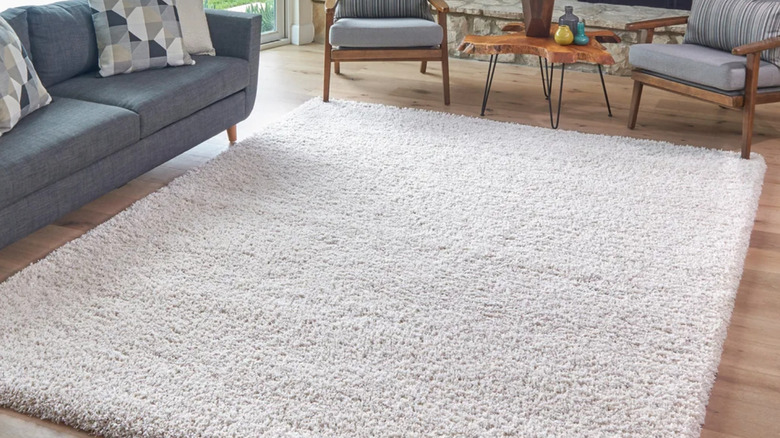 A white shag rug on the floor of a modernist house